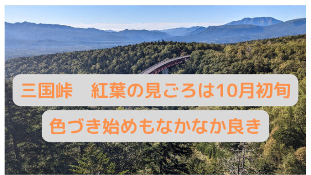 三国峠 松見大橋の紅葉を見に行く 見ごろは9月下旬から10月初旬 注意点やトイレの情報も お宮と松の作業所