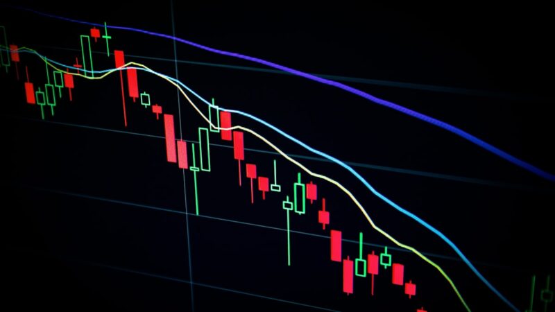 月5000円の投資って意味があるの？年収300万円でも始められる積立投資の話 